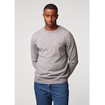 Antwrp pull BKW 98R kleur 204 lightgrey