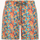 A Fish Named Fred Swim short town Multicolor 31 254 073