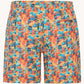 A Fish Named Fred Swim short town Multicolor 31 254 073