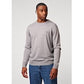 Antwrp pull BKW 98R kleur 204 lightgrey